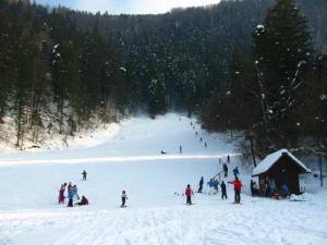 smučišče Globoka riža